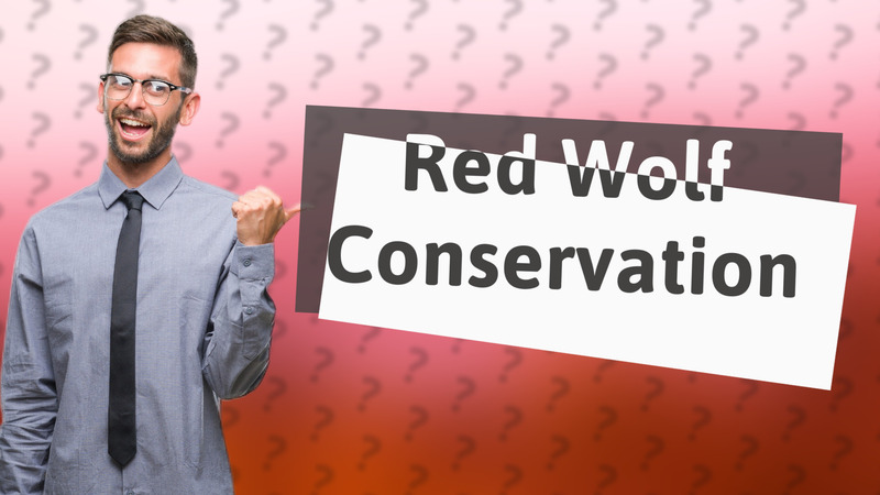 Red Wolf Conservation