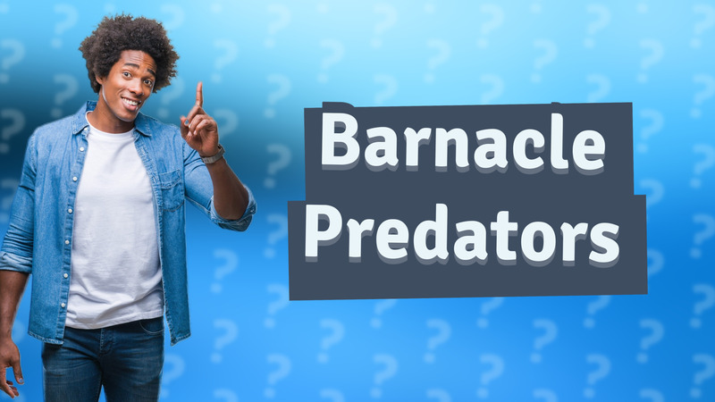 Barnacle Predators