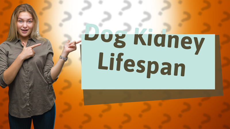 Dog Kidney Lifespan