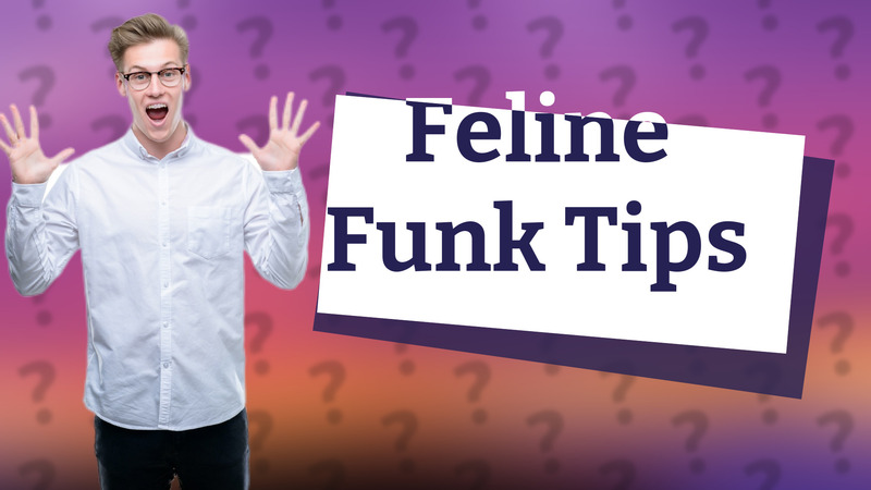 Feline Funk Tips