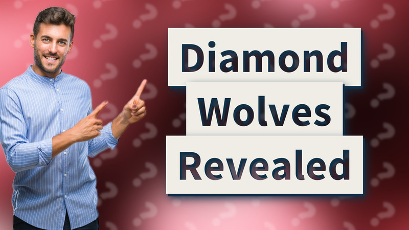 Diamond Wolves Revealed