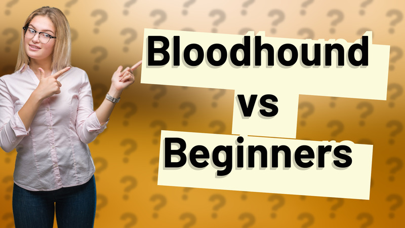 Bloodhound vs Beginners