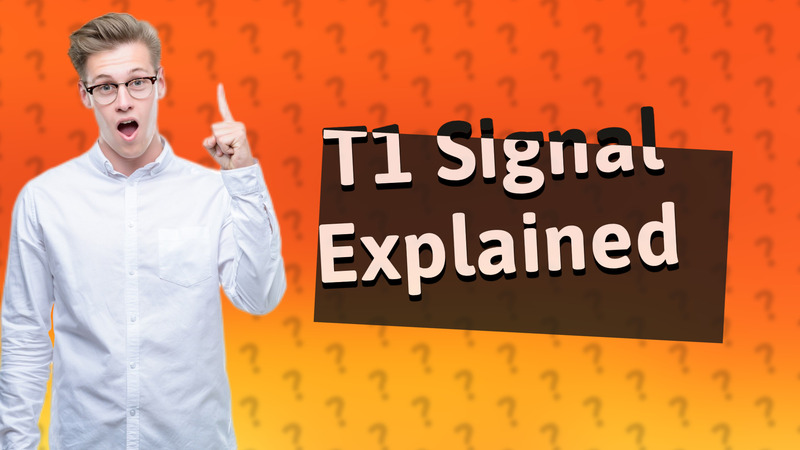 T1 Signal Explained