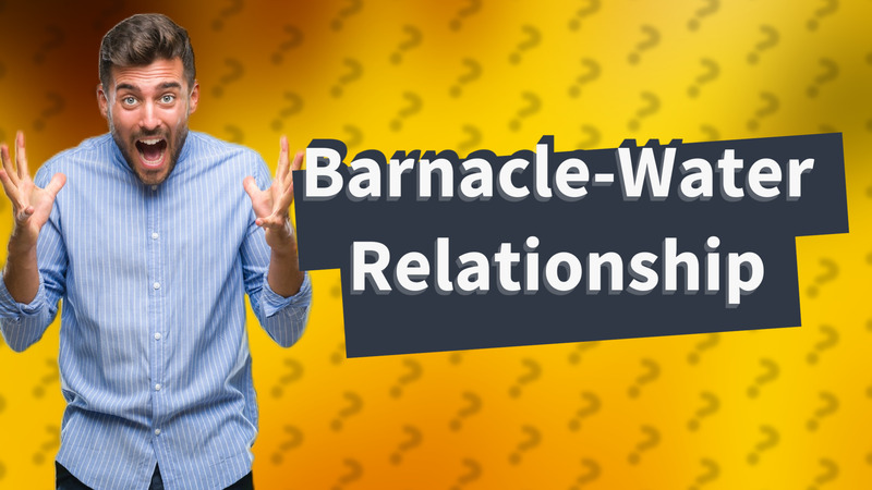 Barnacle-Water Relationship