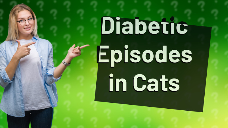 Diabetic Episodes in Cats