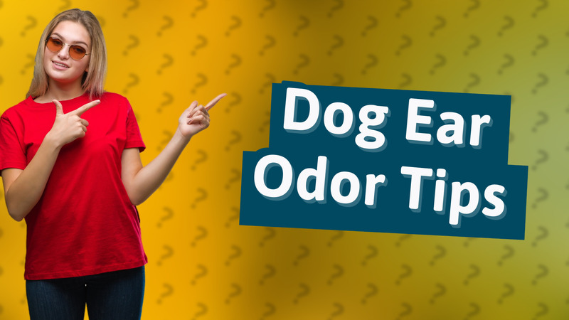 Dog Ear Odor Tips