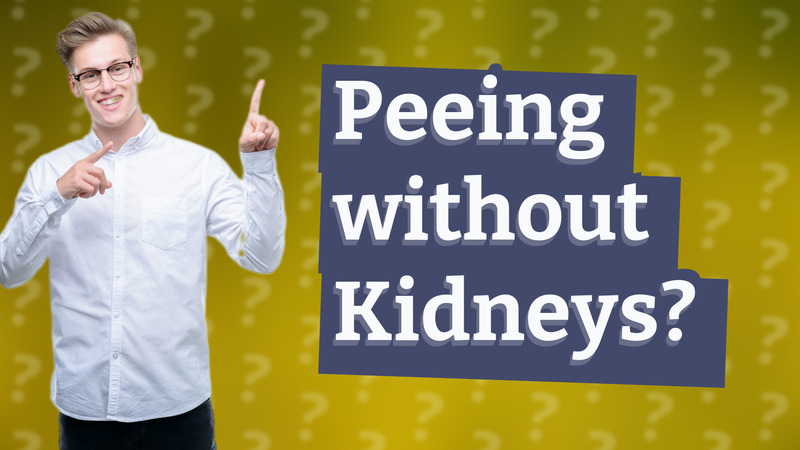 Peeing without Kidneys?