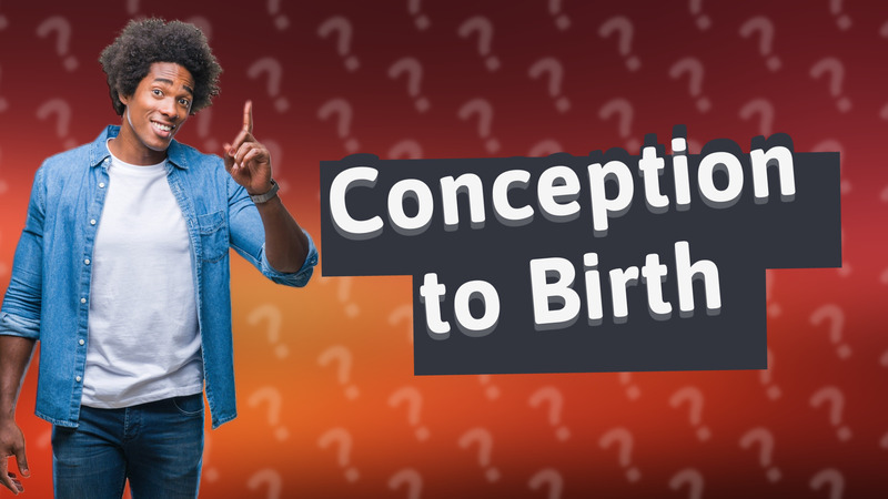 Conception to Birth