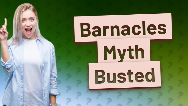 Barnacles Myth Busted