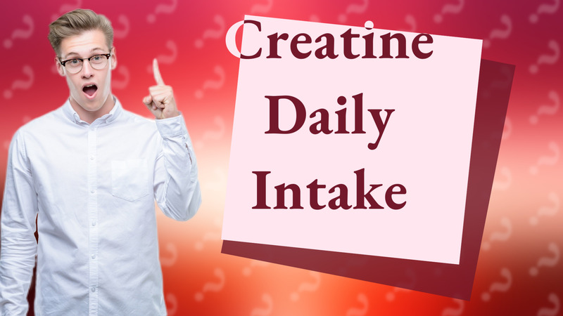 Creatine Daily Intake