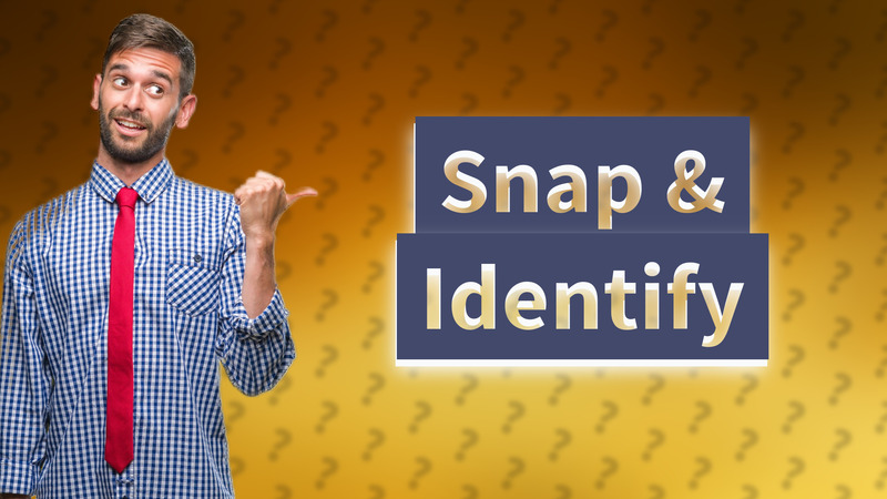 Snap & Identify