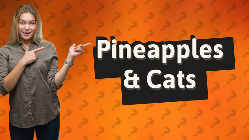 Pineapples & Cats