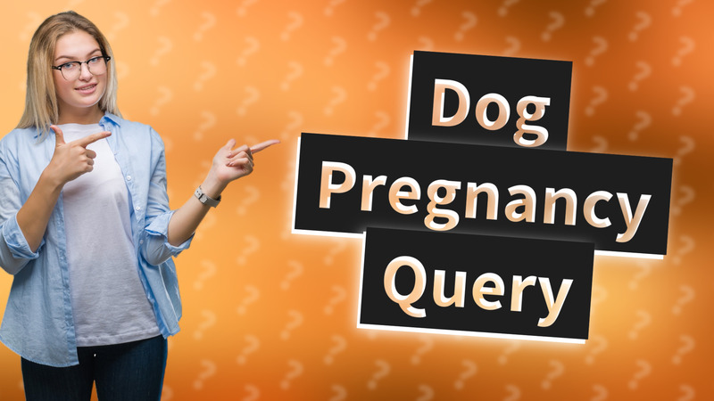 Dog Pregnancy Query