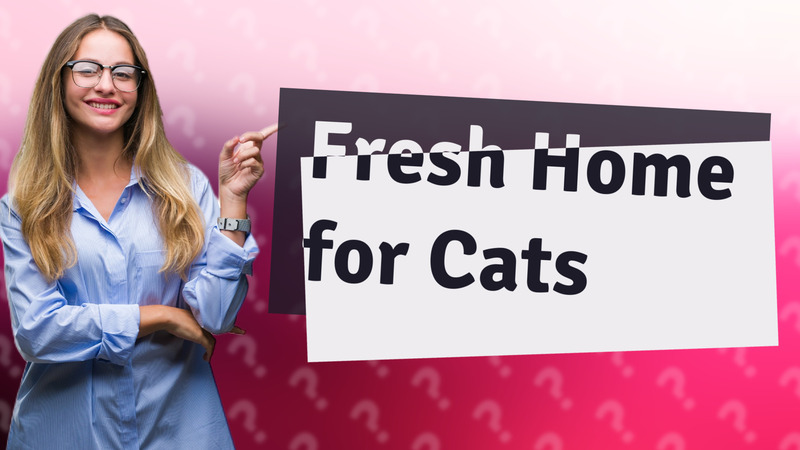 Fresh Home for Cats