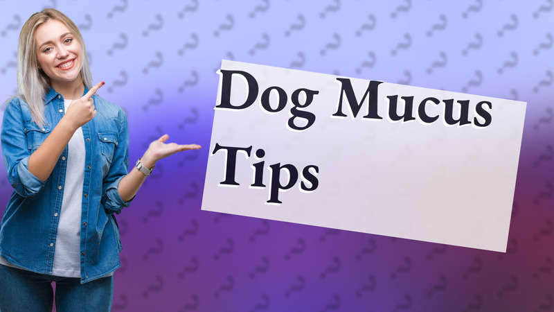 Dog Mucus Tips