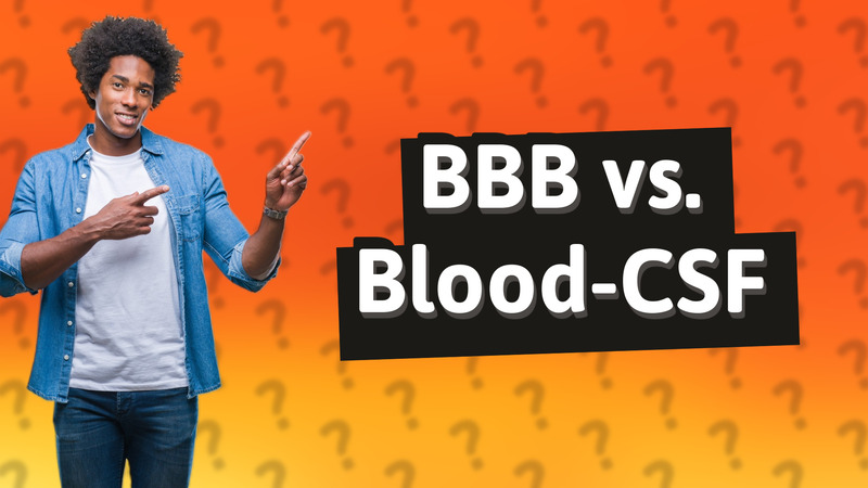 BBB vs. Blood-CSF