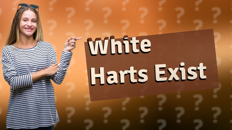 White Harts Exist
