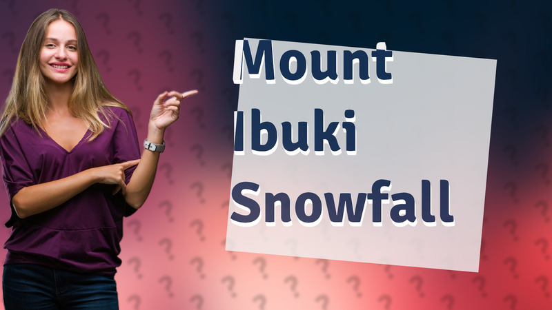 Mount Ibuki Snowfall