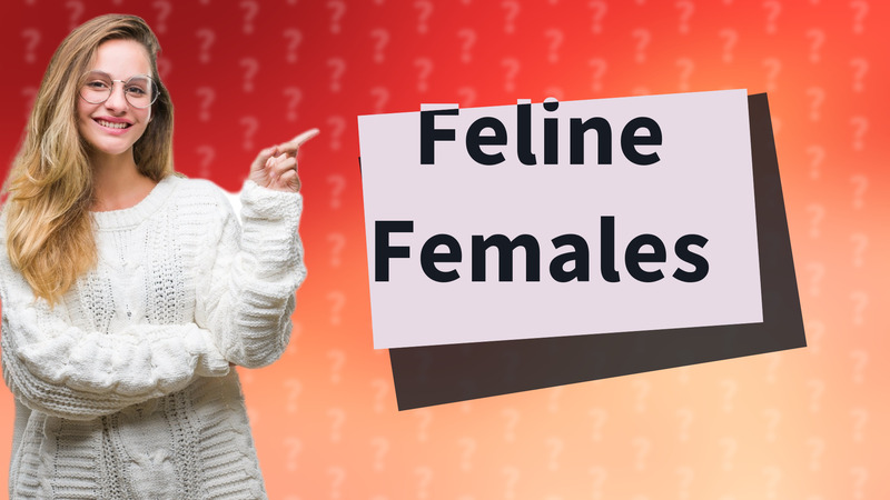 Feline Females