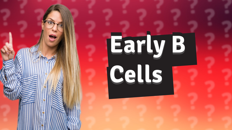 Early B Cells