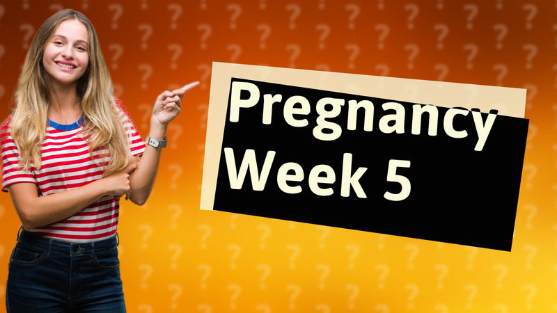 Pregnancy Week 5