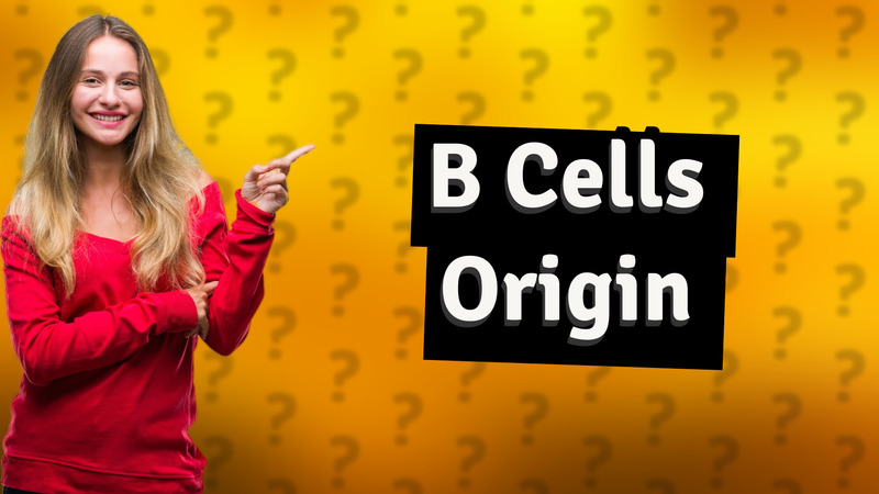 B Cells Origin