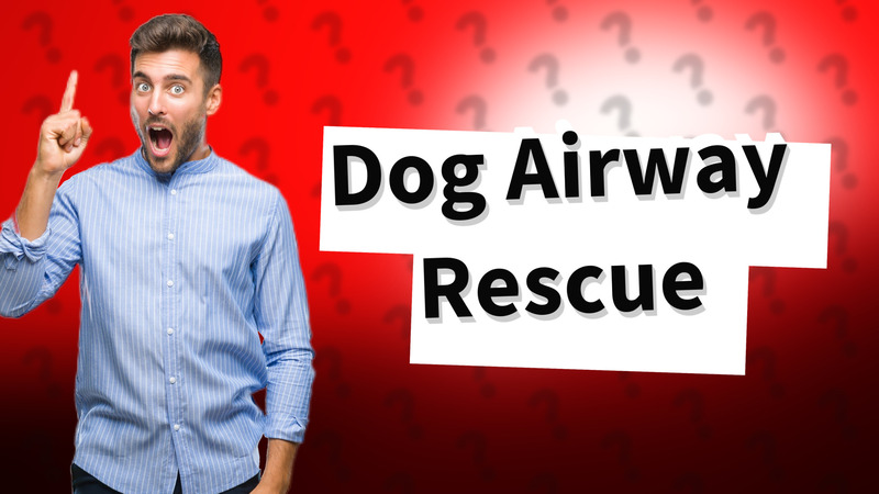 Dog Airway Rescue
