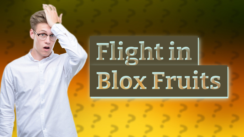 Flight in Blox Fruits