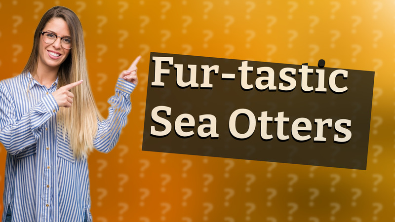 Fur-tastic Sea Otters