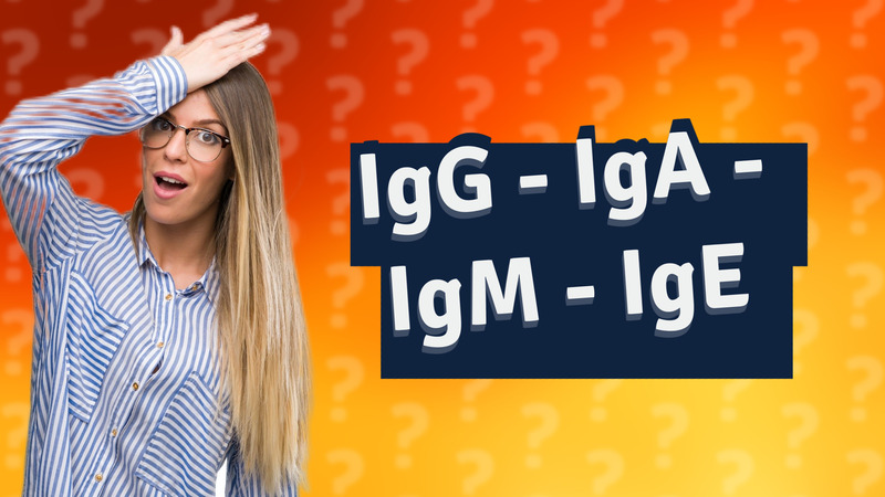 IgG - IgA - IgM - IgE