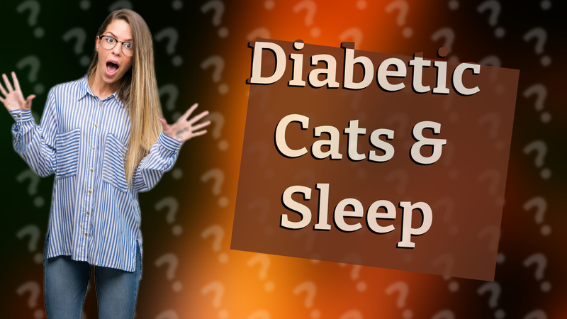 Diabetic Cats & Sleep