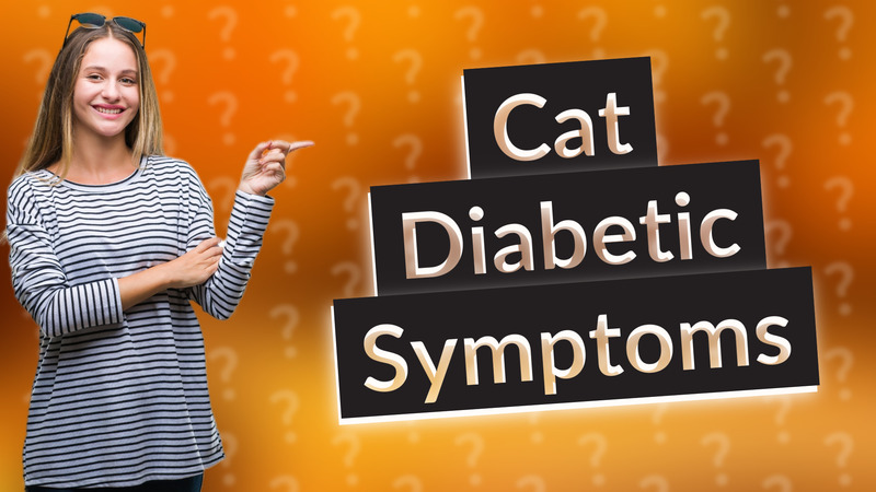 Cat Diabetic Symptoms