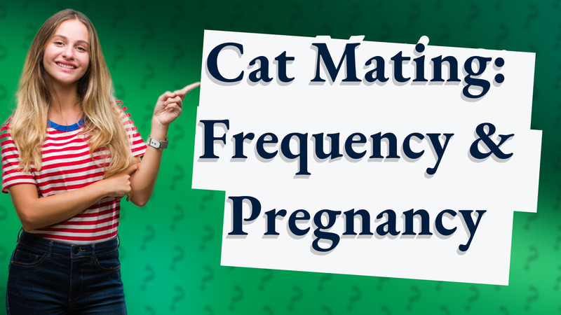 Cat Mating: Frequency & Pregnancy