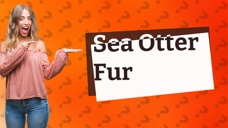 Sea Otter Fur