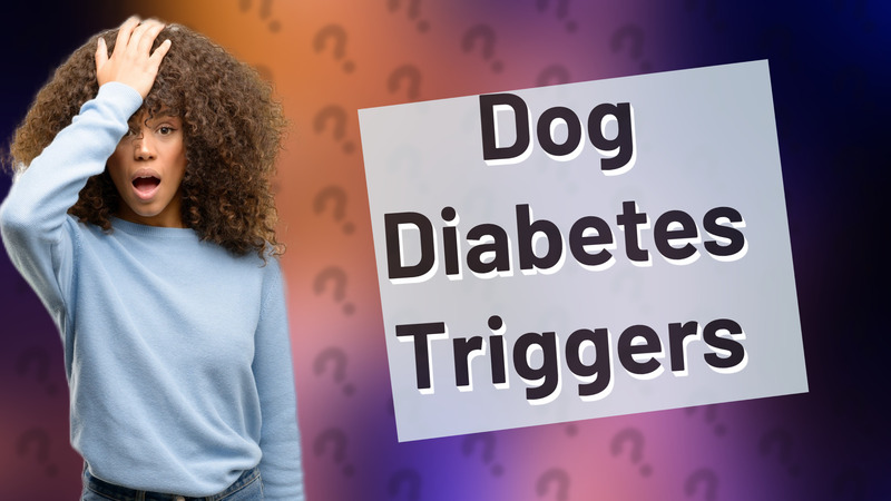 Dog Diabetes Triggers