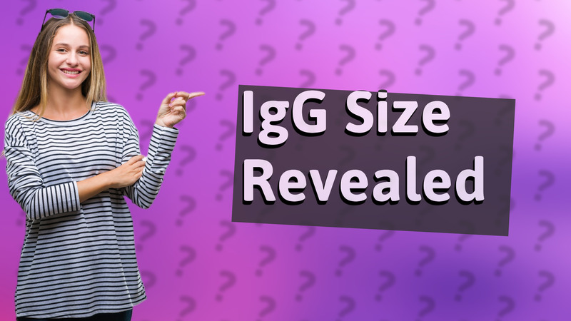 IgG Size Revealed