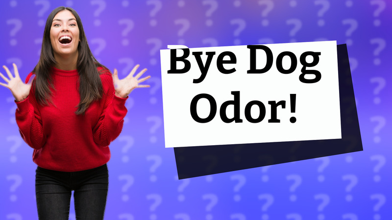 Bye Dog Odor!