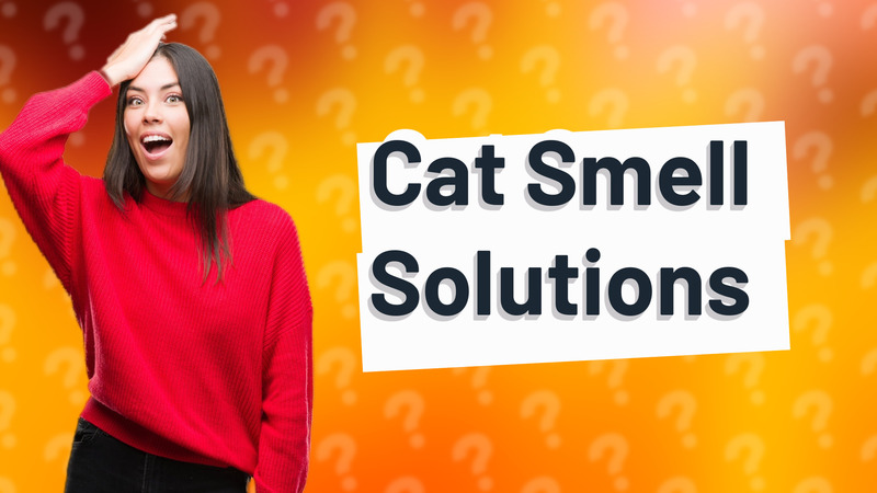 Cat Smell Solutions
