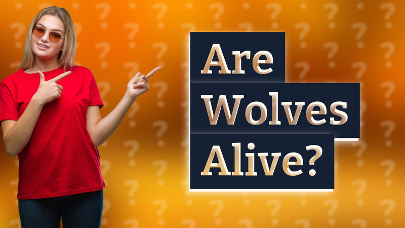 Are Wolves Alive?