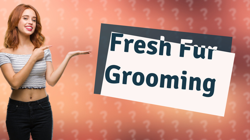 Fresh Fur Grooming