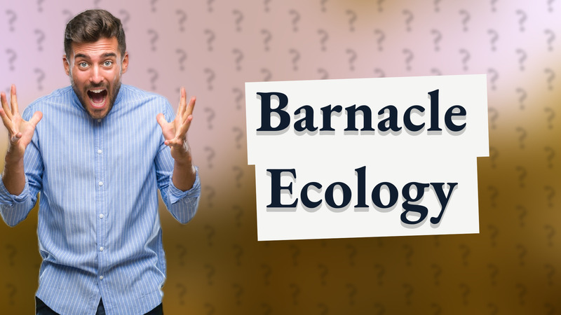 Barnacle Ecology