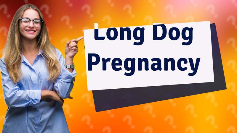 Long Dog Pregnancy