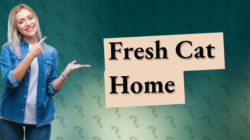 Fresh Cat Home