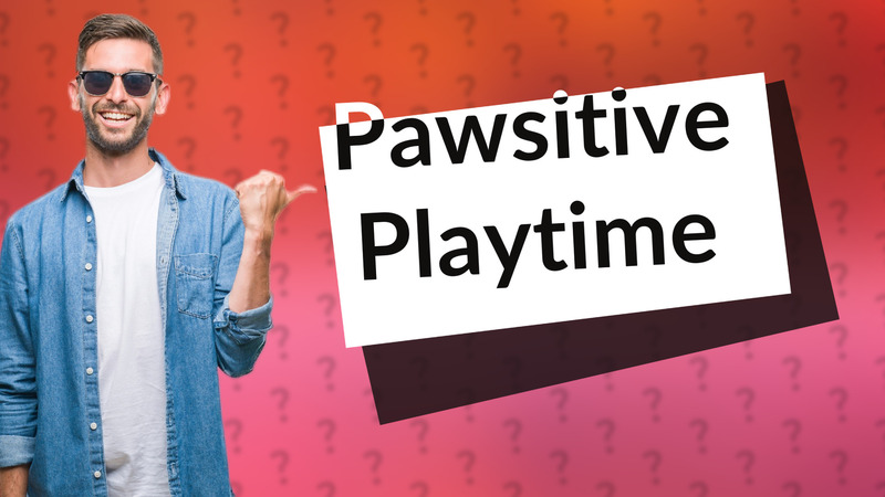 Pawsitive Playtime