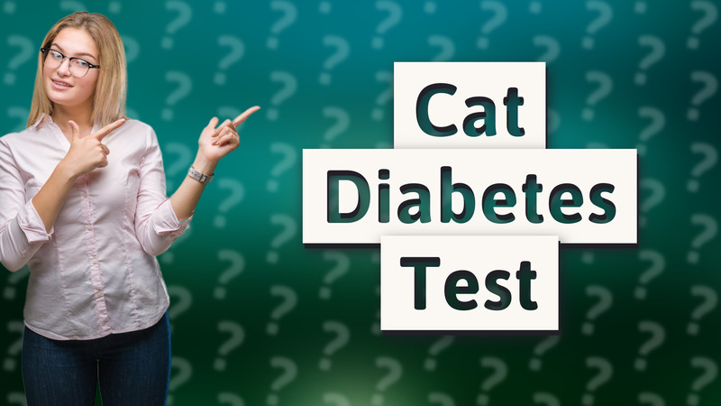 Cat Diabetes Test