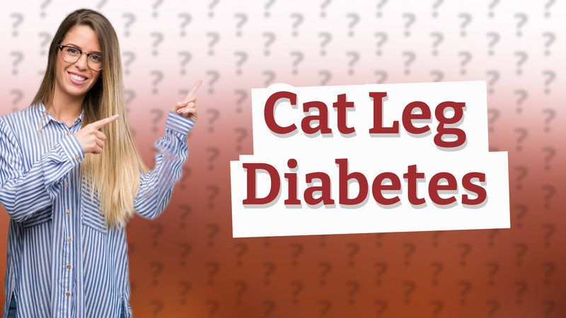Cat Leg Diabetes