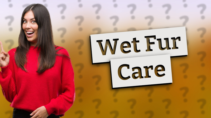 Wet Fur Care