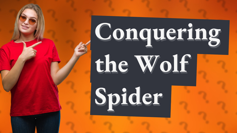Conquering the Wolf Spider