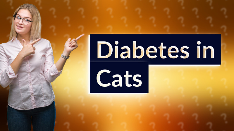 Diabetes in Cats