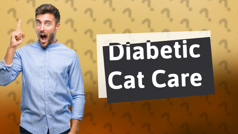 Diabetic Cat Care